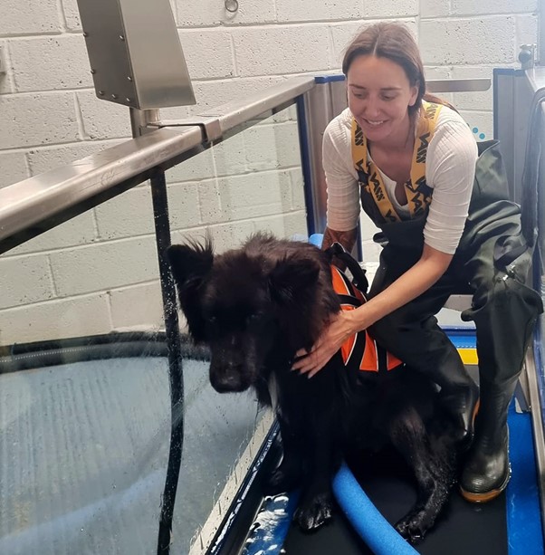 Petffisio Hydrotherapy for Dogs West Wales
